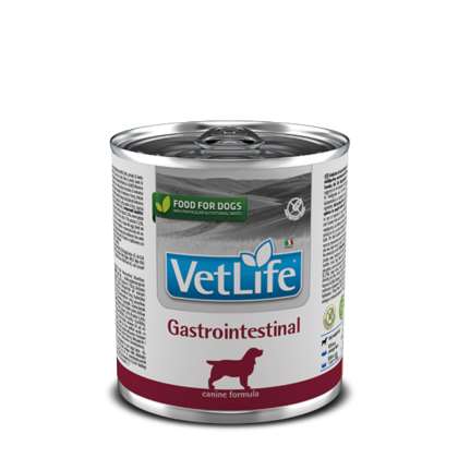 Farmina Vet Life Dog Gastrointestinal 300gr