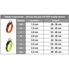 Obroża dla psa Truelove Active r:XL  k: szary