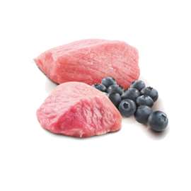 N&D PRIME CAT LAMB AND BLUEBERRY ADULT 70gr