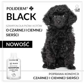 Szampon dla psów i kotów POLIDERM BLACK 15 ml sasz