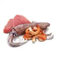 N&D CAT OCEAN TUNA, SQUID & SHRIMP ADULT 70gr