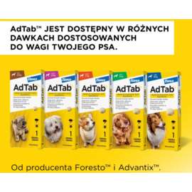 AdTab tabletka dla psa 1,3-2,5 kg pchły i kleszcze