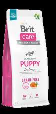 Brit Care Grain-free Puppy Salmon 3kg