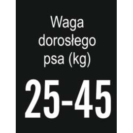 Arion dorosłe duże rasy jagnięcina&ryż 12 kg