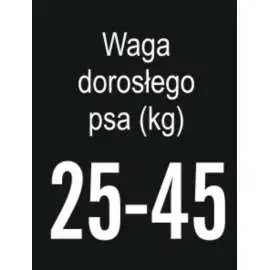 Arion dorosłe duże rasy łosoś&ryż 12 kg