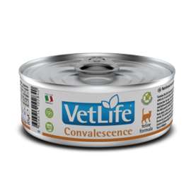 Farmina Vet Life Cat Convalescence 85gr