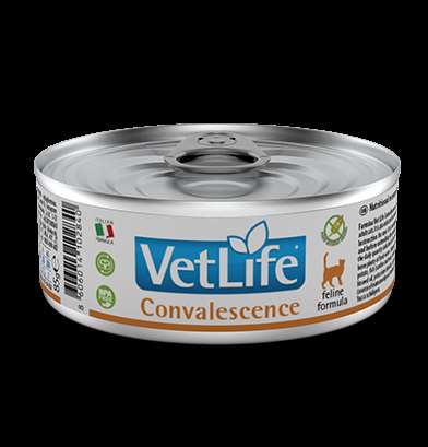 Farmina Vet Life Cat Convalescence 85gr