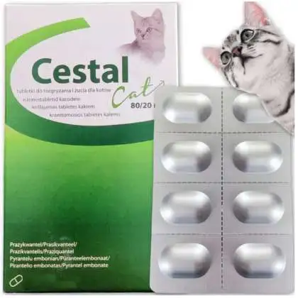 Cestal Cat 80/20Mg dla kotów na odrobaczanie 1 szt Cestal Cat 80/20Mg dla kotów na odrobaczanie 1 szt