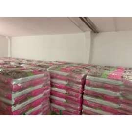 Pasza Ibeko Panto matki 25 kg