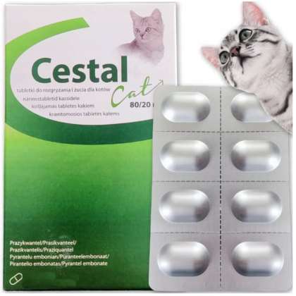 Cestal Cat 80/20Mg dla kotów na odrobaczanie 8 szt Cestal Cat 80/20Mg dla kotów na odrobaczanie 8 szt
