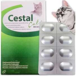 Cestal Cat 80/20Mg dla kotów na odrobaczanie 8 szt Cestal Cat 80/20Mg dla kotów na odrobaczanie 8 szt