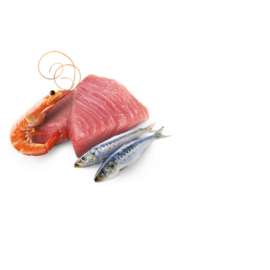 N&D CAT OCEAN TUNA, SARDINE & SHRIM ADULT 70gr N&D CAT OCEAN TUNA, SARDINE & SHRIM ADULT 70gr