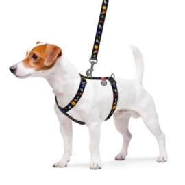 WAUDOG Nylon szelki wzór "NASA" M WAUDOG Nylon szelki wzór "NASA" M