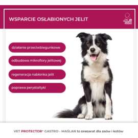 VET PROTECTOR GASTRO – MAŚLAN 60 ml VET PROTECTOR GASTRO – MAŚLAN 60 ml