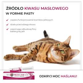 VET PROTECTOR GASTRO – MAŚLAN 60 ml VET PROTECTOR GASTRO – MAŚLAN 60 ml
