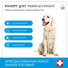 POLISEPTVET PIERWSZA POMOC APTECZKA DLA PSA I KOTA POLISEPTVET PIERWSZA POMOC APTECZKA DLA PSA I KOTA
