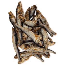 Szprotka suszona 40 gram Szprotka suszona 40 gram
