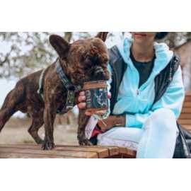 TRZYPSY bulion warzywny z jeleniem 300g TRZYPSY bulion warzywny z jeleniem 300g