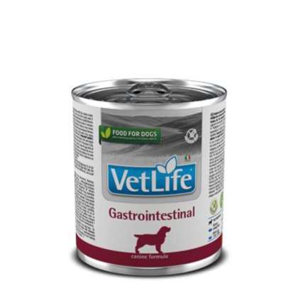 Farmina Vet Life Dog Gastrointestinal 300gr