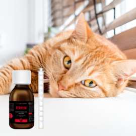 MONOVET POWER – FERRUM dla psów i kotów 90 ml