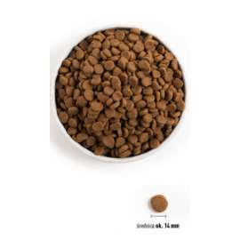 ORIJEN SENIOR DOG 6KG